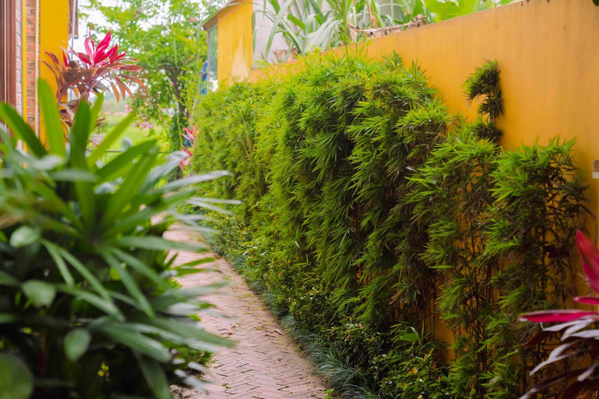 Ferienwohnung Papaya Bungalow & Rice Fields Ninh Binh Exterior foto