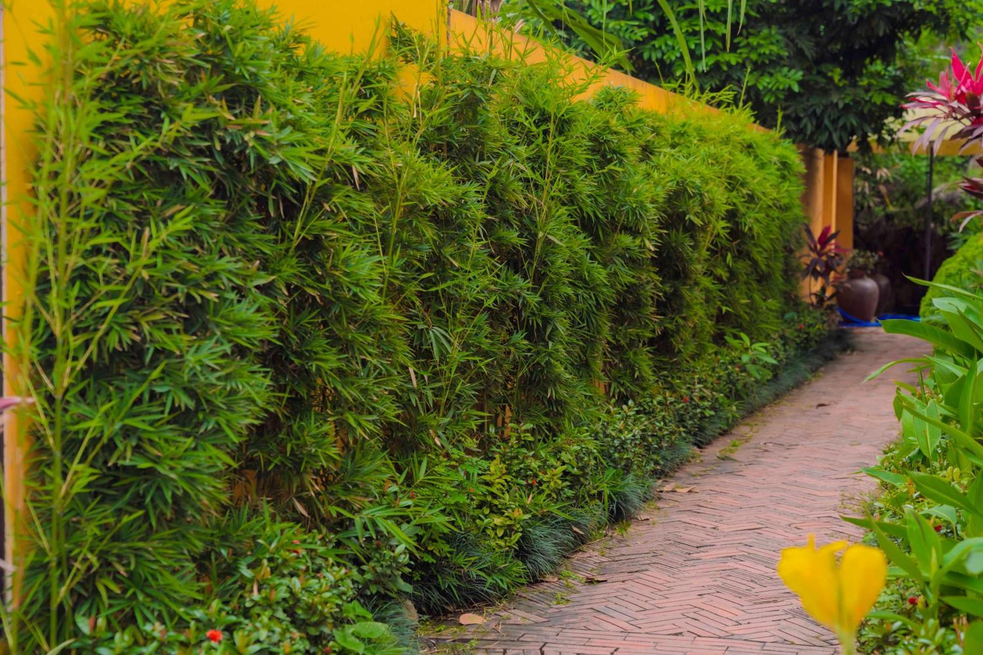 Ferienwohnung Papaya Bungalow & Rice Fields Ninh Binh Exterior foto